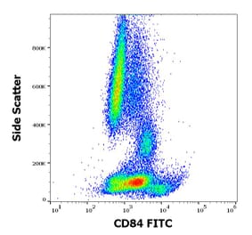 Flow Cytometry - Anti-CD84 Antibody [CD84.1.21] (FITC) (A86340)