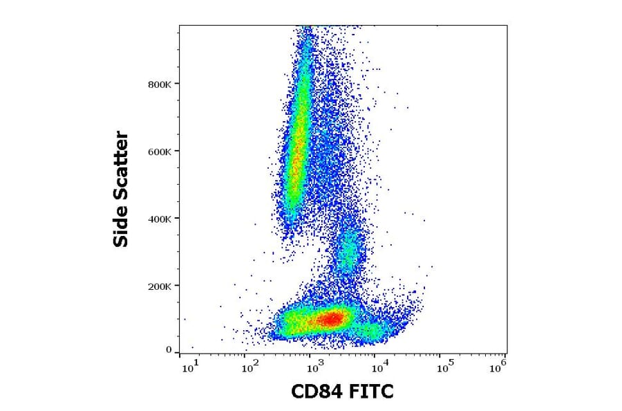 Flow Cytometry - Anti-CD84 Antibody [CD84.1.21] (FITC) (A86340)