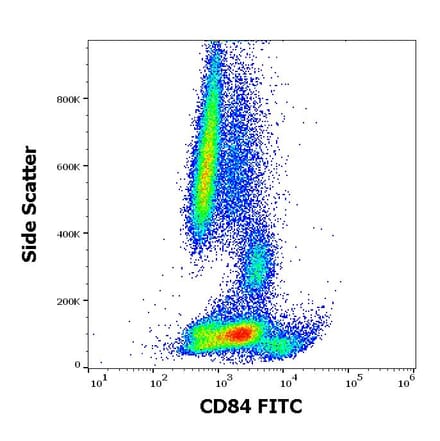 Flow Cytometry - Anti-CD84 Antibody [CD84.1.21] (FITC) (A86340)