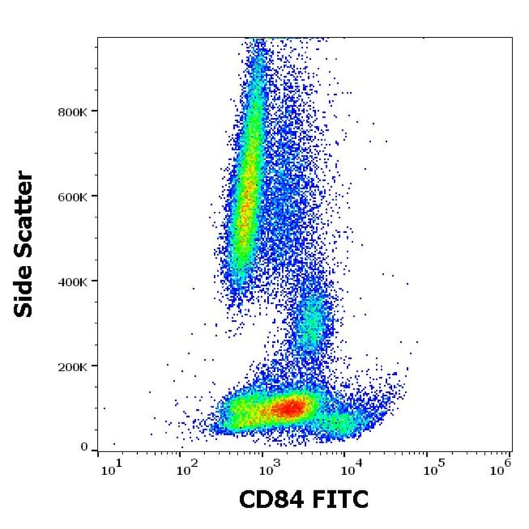 Flow Cytometry - Anti-CD84 Antibody [CD84.1.21] (FITC) (A86340)