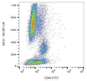 Flow Cytometry - Anti-CD84 Antibody [CD84.1.21] (FITC) (A86339) - Antibodies.com