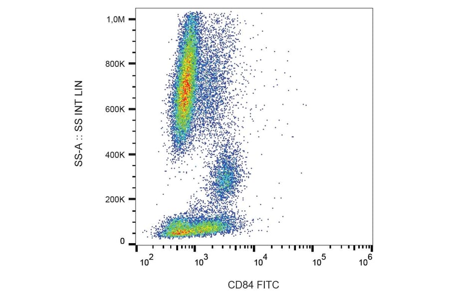 Flow Cytometry - Anti-CD84 Antibody [CD84.1.21] (FITC) (A86339) - Antibodies.com