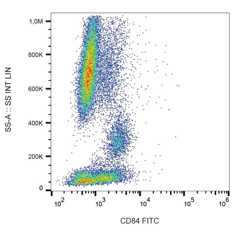 Flow Cytometry - Anti-CD84 Antibody [CD84.1.21] (FITC) (A86339) - Antibodies.com
