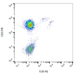 Flow Cytometry - Anti-TCR gamma + TCR delta Antibody [B1] (PE) (A86340) - Antibodies.com