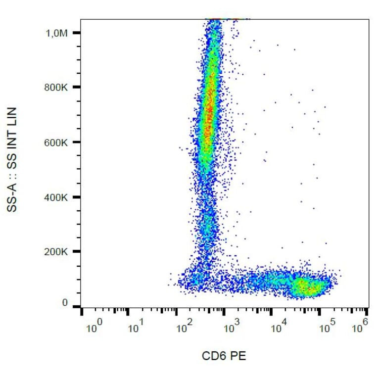 Flow Cytometry - Anti-CD6/T12 Antibody [MEM-98] (PE) (A86342)