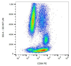 Flow Cytometry - Anti-CD84 Antibody [CD84.1.21] (PE) (A86343)
