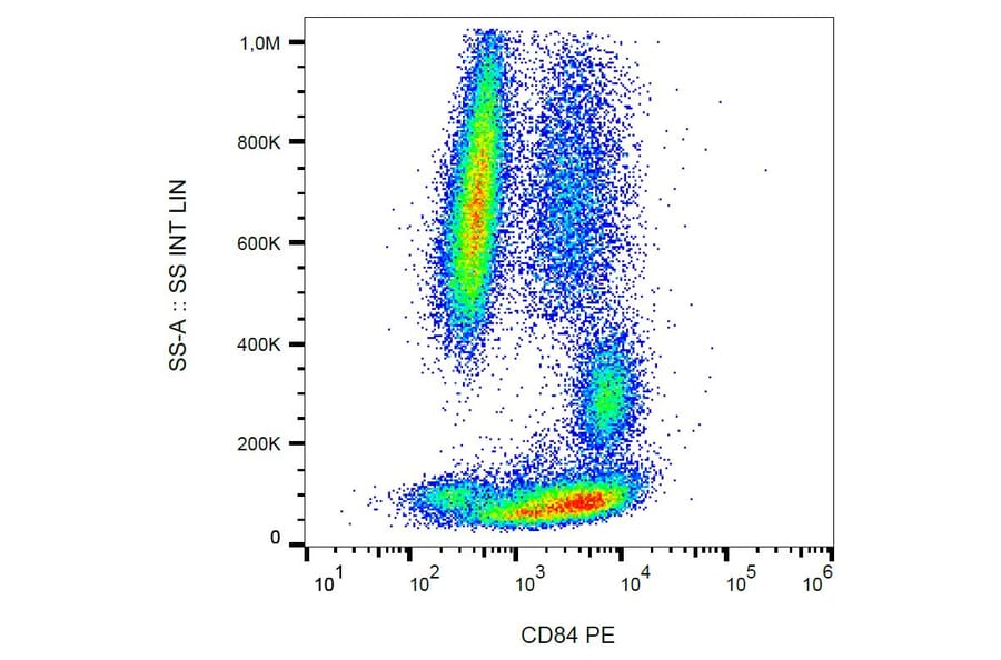 Flow Cytometry - Anti-CD84 Antibody [CD84.1.21] (PE) (A86343)