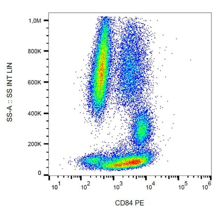 Flow Cytometry - Anti-CD84 Antibody [CD84.1.21] (PE) (A86343)