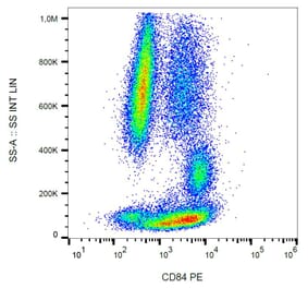 Flow Cytometry - Anti-CD84 Antibody [CD84.1.21] (PE) (A86342) - Antibodies.com