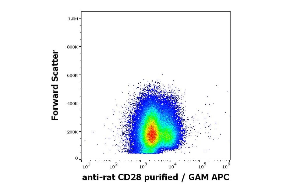 Flow Cytometry - Anti-CD28 Antibody [JJ319] (A86347)