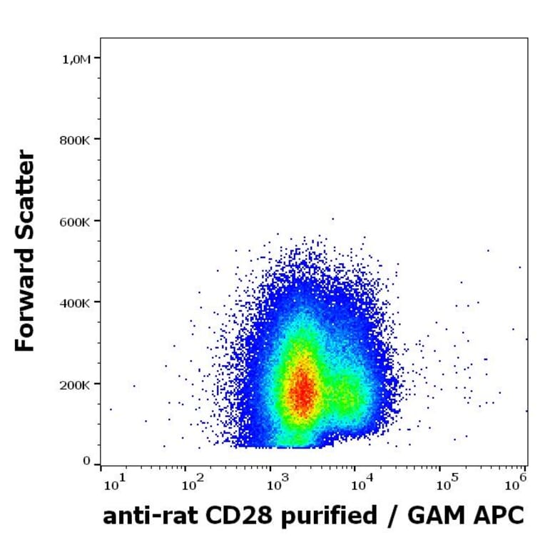 Flow Cytometry - Anti-CD28 Antibody [JJ319] (A86347)