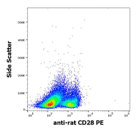 Flow Cytometry - Anti-CD28 Antibody [JJ319] (PE) (A86351)