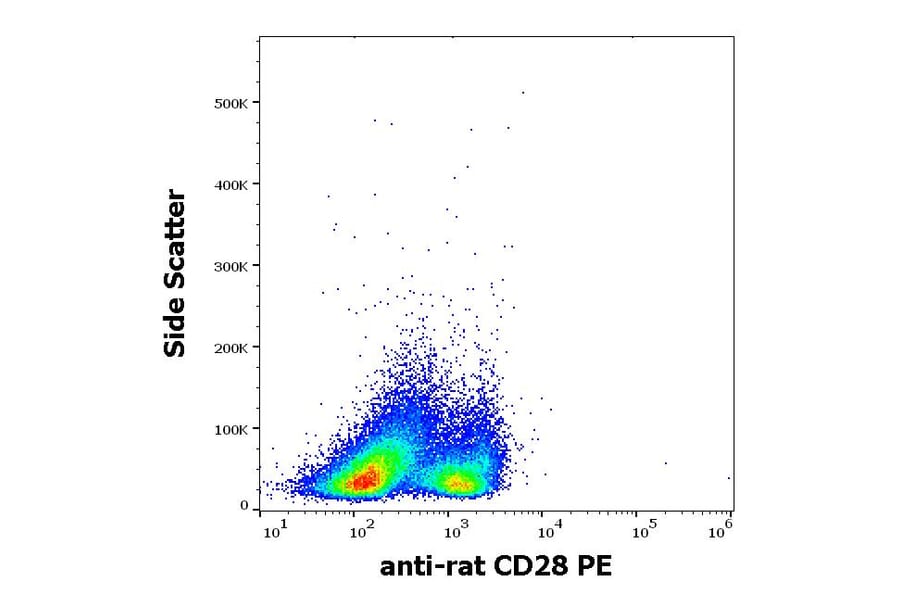 Flow Cytometry - Anti-CD28 Antibody [JJ319] (PE) (A86351)
