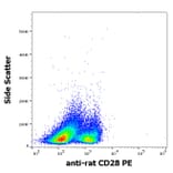 Flow Cytometry - Anti-CD28 Antibody [JJ319] (PE) (A86351)