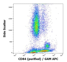 Flow Cytometry - Anti-CD84 Antibody [CD84.1.21] - Low endotoxin, Azide free (A86353)