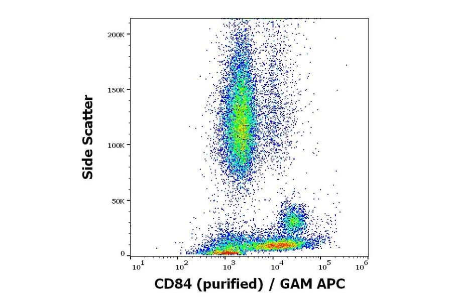 Flow Cytometry - Anti-CD84 Antibody [CD84.1.21] - Low endotoxin, Azide free (A86353)