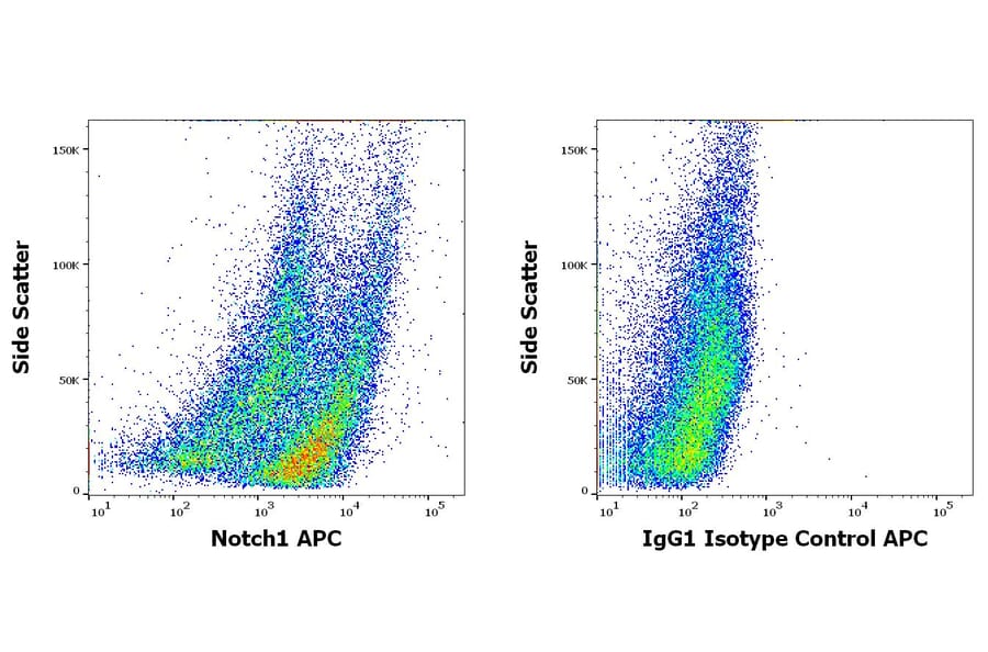 Flow Cytometry - Anti-Notch1 Antibody [mN1A] (APC) (A86354)
