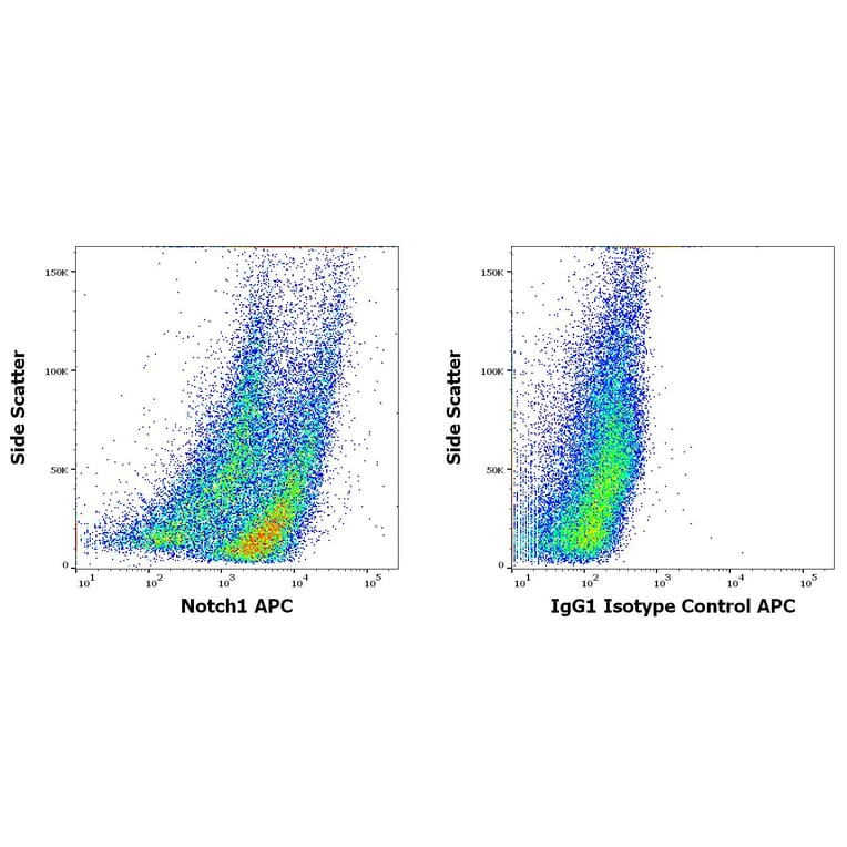 Flow Cytometry - Anti-Notch1 Antibody [mN1A] (APC) (A86354)