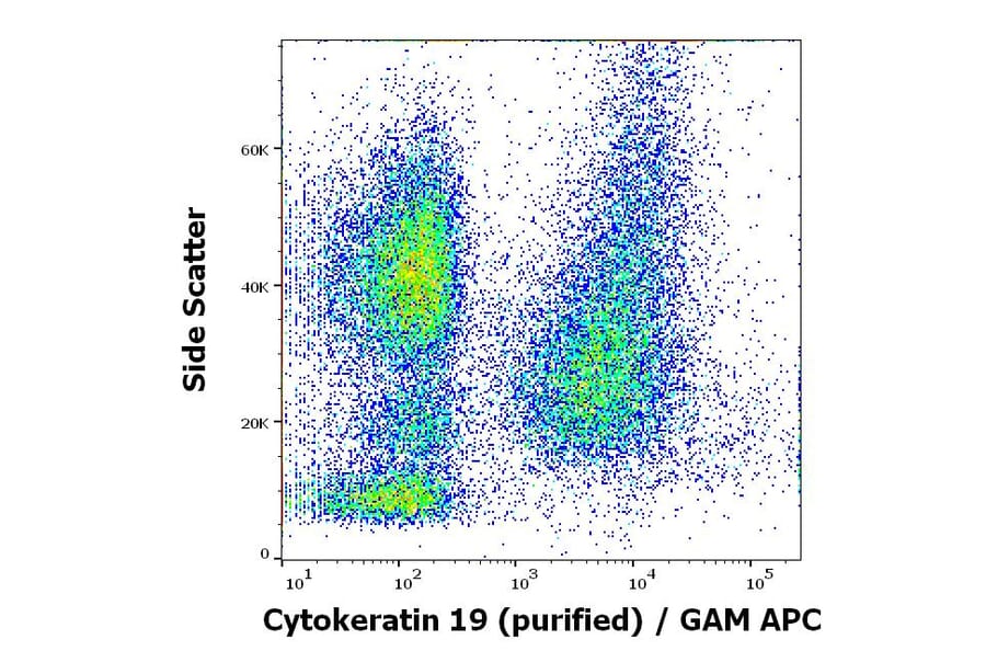 Flow Cytometry - Anti-Cytokeratin 19 Antibody [A53-B/A2] (A86355)