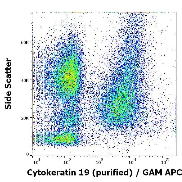 Flow Cytometry - Anti-Cytokeratin 19 Antibody [A53-B/A2] (A86355)