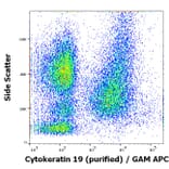 Flow Cytometry - Anti-Cytokeratin 19 Antibody [A53-B/A2] (A86355)