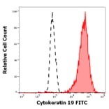 Flow Cytometry - Anti-Cytokeratin 19 Antibody [A53-B/A2] (FITC) (A86359)