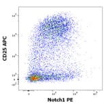 Flow Cytometry - Anti-Notch1 Antibody [mN1A] (PE) (A86360)