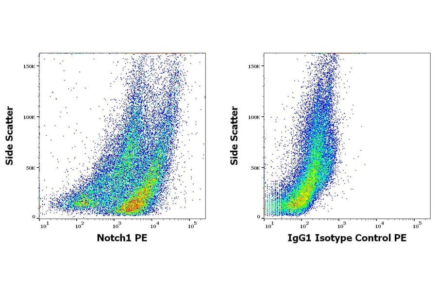 Flow Cytometry - Anti-Notch1 Antibody [mN1A] (PE) (A86360)