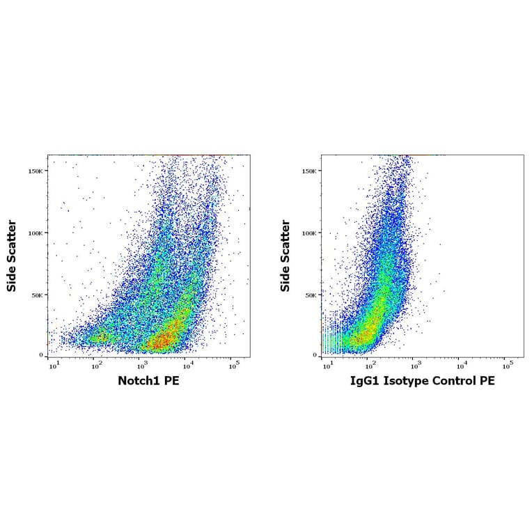 Flow Cytometry - Anti-Notch1 Antibody [mN1A] (PE) (A86360)
