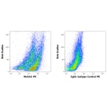 Flow Cytometry - Anti-Notch1 Antibody [mN1A] (PE) (A86360)