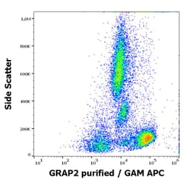 Flow Cytometry - Anti-GRAP2 Antibody [UW40] (A86363)