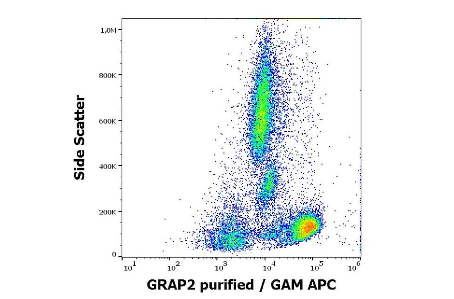 Flow Cytometry - Anti-GRAP2 Antibody [UW40] (A86363)