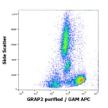 Flow Cytometry - Anti-GRAP2 Antibody [UW40] (A86363)