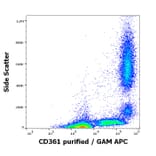 Flow Cytometry - Anti-CD361 Antibody [MEM-216] (A86364)