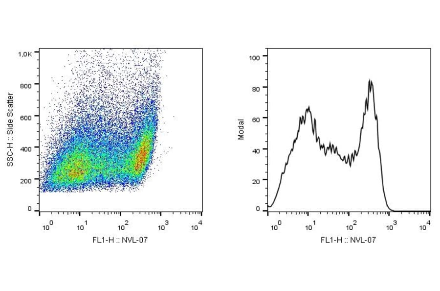 Flow Cytometry - Anti-SCIMP Antibody [NVL-07] (A86364) - Antibodies.com