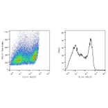 Flow Cytometry - Anti-SCIMP Antibody [NVL-07] (A86364) - Antibodies.com