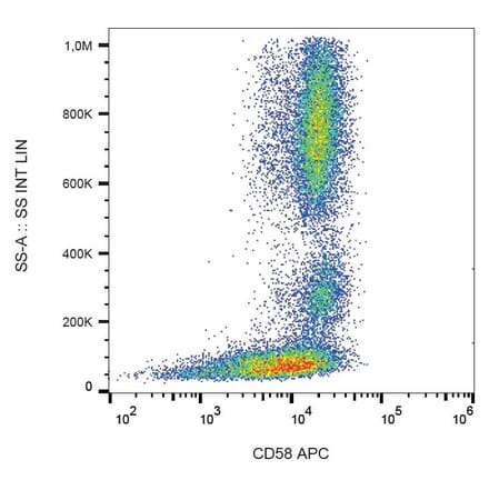 Flow Cytometry - Anti-CD58 Antibody [MEM-63] (APC) (A86368)