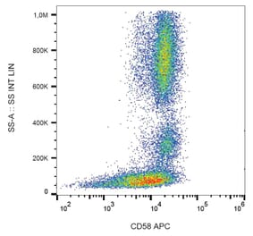 Flow Cytometry - Anti-CD58 Antibody [MEM-63] (APC) (A86365) - Antibodies.com