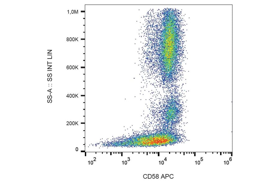 Flow Cytometry - Anti-CD58 Antibody [MEM-63] (APC) (A86365) - Antibodies.com