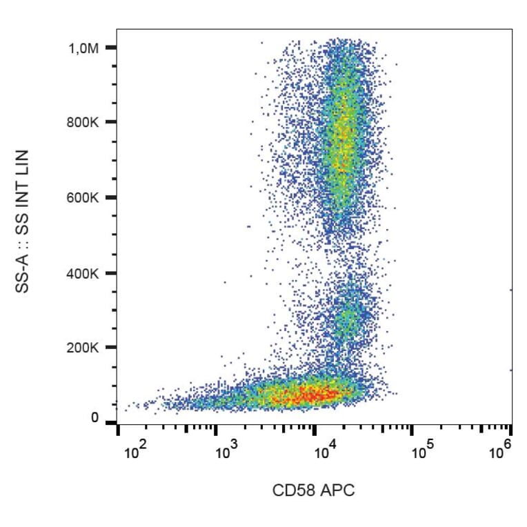 Flow Cytometry - Anti-CD58 Antibody [MEM-63] (APC) (A86365) - Antibodies.com