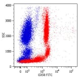 Flow Cytometry - Anti-CD58 Antibody [MEM-63] (FITC) (A86369)