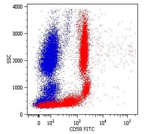 Flow Cytometry - Anti-CD58 Antibody [MEM-63] (FITC) (A86368) - Antibodies.com