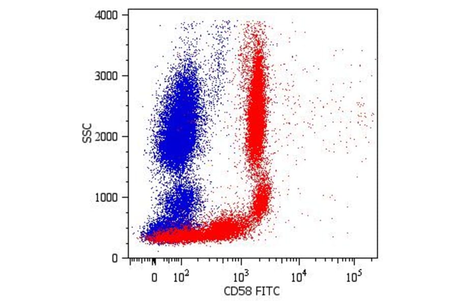 Flow Cytometry - Anti-CD58 Antibody [MEM-63] (FITC) (A86368) - Antibodies.com