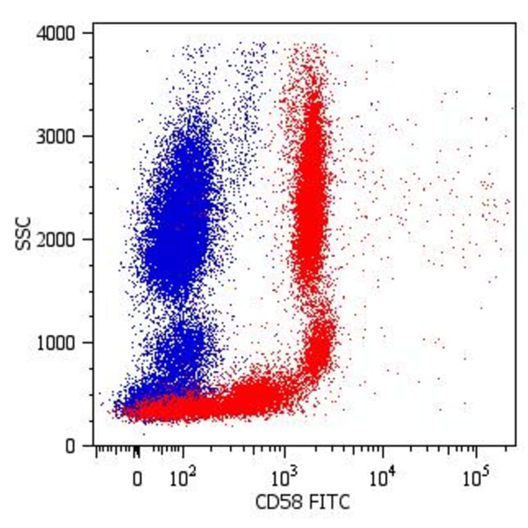 Flow Cytometry - Anti-CD58 Antibody [MEM-63] (FITC) (A86368) - Antibodies.com