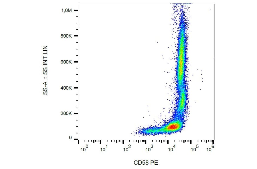 Flow Cytometry - Anti-CD58 Antibody [MEM-63] (PE) (A86369) - Antibodies.com