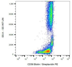 Flow Cytometry - Anti-CD58 Antibody [MEM-63] (Biotin) (A86370) - Antibodies.com