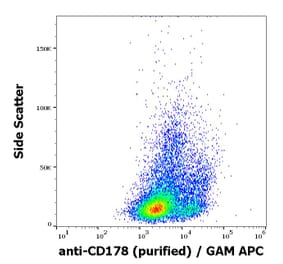 Flow Cytometry - Anti-Fas Ligand Antibody [NOK-1] (A86374)