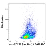 Flow Cytometry - Anti-Fas Ligand Antibody [NOK-1] (A86374)