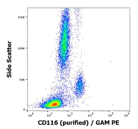 Flow Cytometry - Anti-CD116 Antibody [4H1] (A86376)