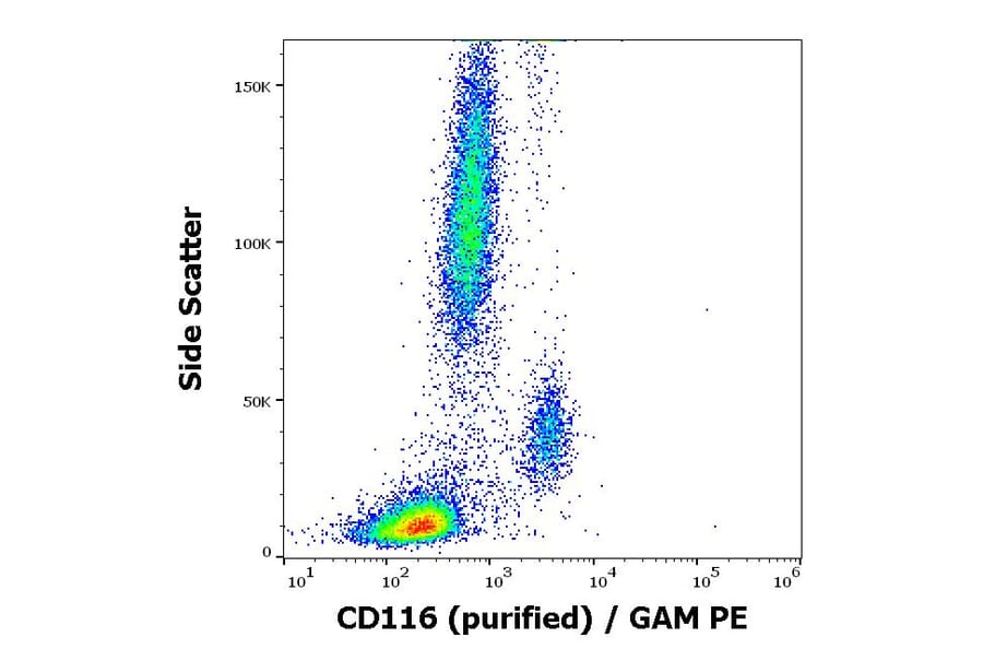 Flow Cytometry - Anti-CD116 Antibody [4H1] (A86376)